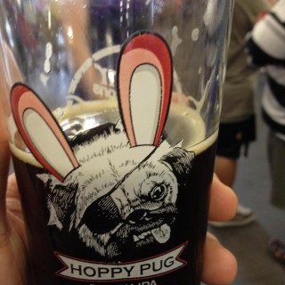 Pug Drinking Beer