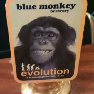 Blue Monkey Evolution