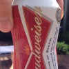 Untappd profile picture for @Curran