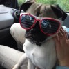 Untappd profile picture for @Twist
