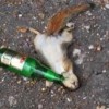 Untappd profile picture for @Crumpled