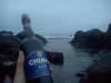 Untappd profile picture for @nwe
