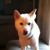 Untappd profile picture for @Frederick