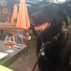 Untappd profile picture for @underwater