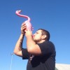 Untappd profile picture for @Prone
