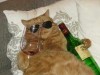 Untappd profile picture for @proper