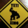 Untappd profile picture for @yeti