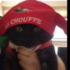 Untappd profile picture for @Wilder