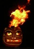 Untappd profile picture for @Tiki
