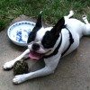 Untappd profile picture for @Fluke