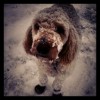 Untappd profile picture for @lg
