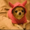 Untappd profile picture for @Mandrake
