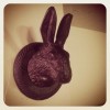 Untappd profile picture for @CommonWealth