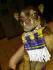 Untappd profile picture for @cupcakes