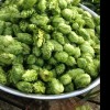 Untappd profile picture for @benched