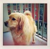 Untappd profile picture for @henri