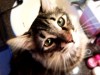 Untappd profile picture for @RogerS