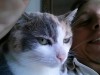 Untappd profile picture for @Pag
